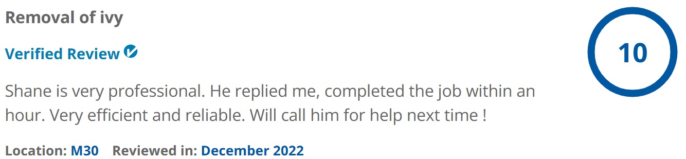 Review 5